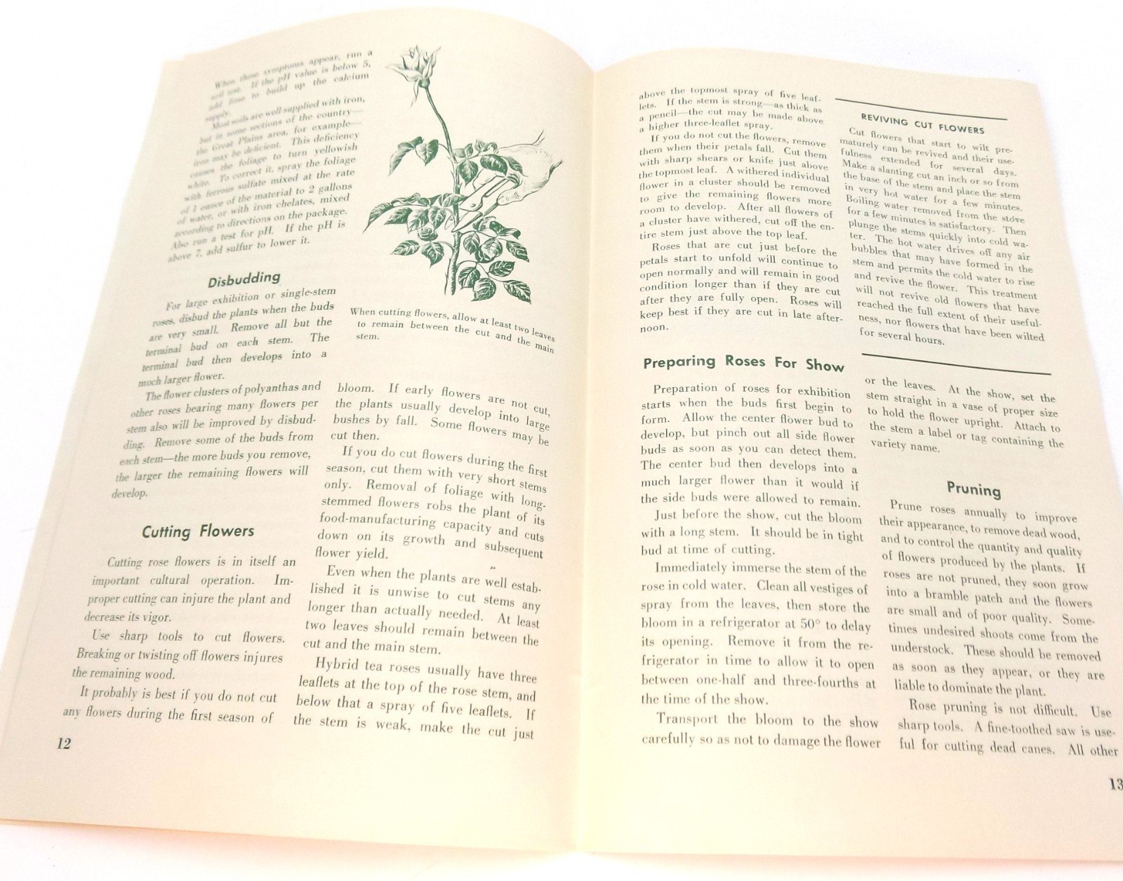 Vntg Roses For the Home US Dept Ag Home & Garden Bulletin No 25 Buckworth 1964