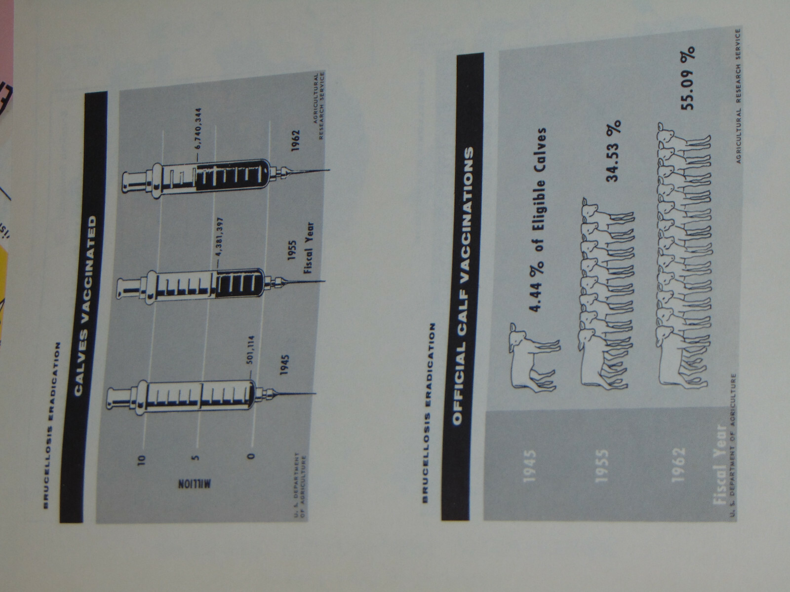 VINTAGE 1950s-60s USDA ANIMAL TUBERCULOSIS ERADICATION TB MANUAL! SMALL POSTERS!
