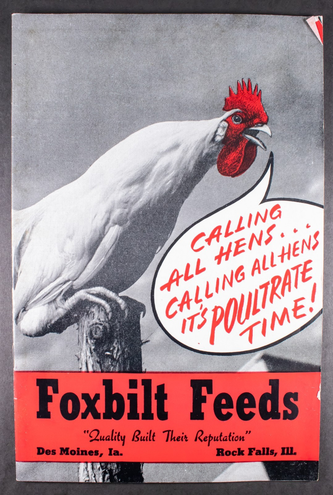 Vintage Agriculture Advertising Foxbilt Feeds Brochure Chicken Farming 1944