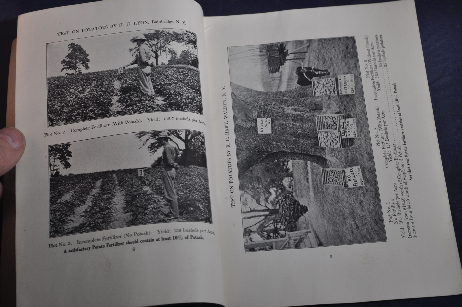 Ca 1920 German Kali Works Brochure on New York Fertilizer Results