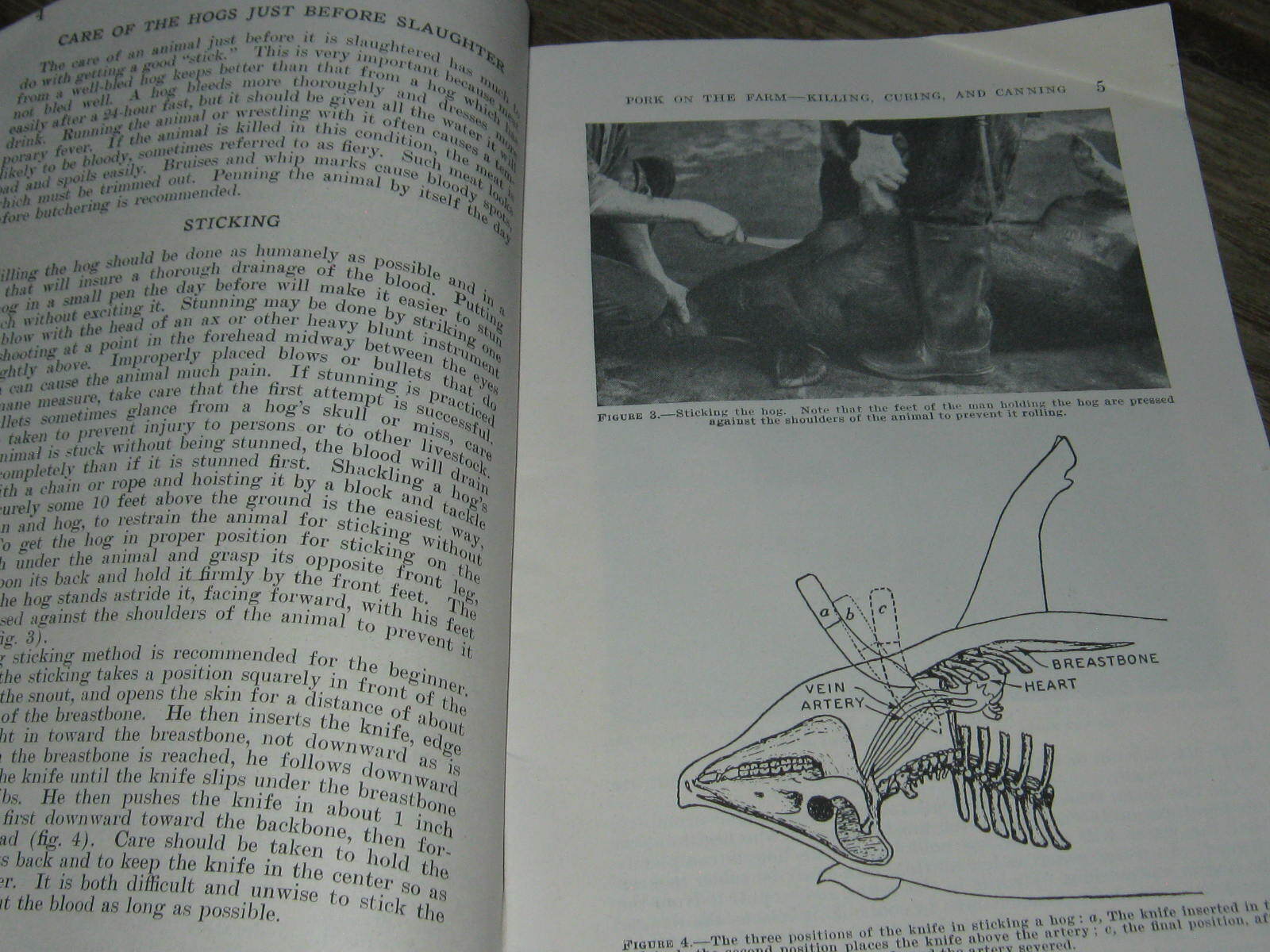 1949 US Agriculture Farmer&rsquo;s Bulletin Pork On The Farm Killing Curing & Canning