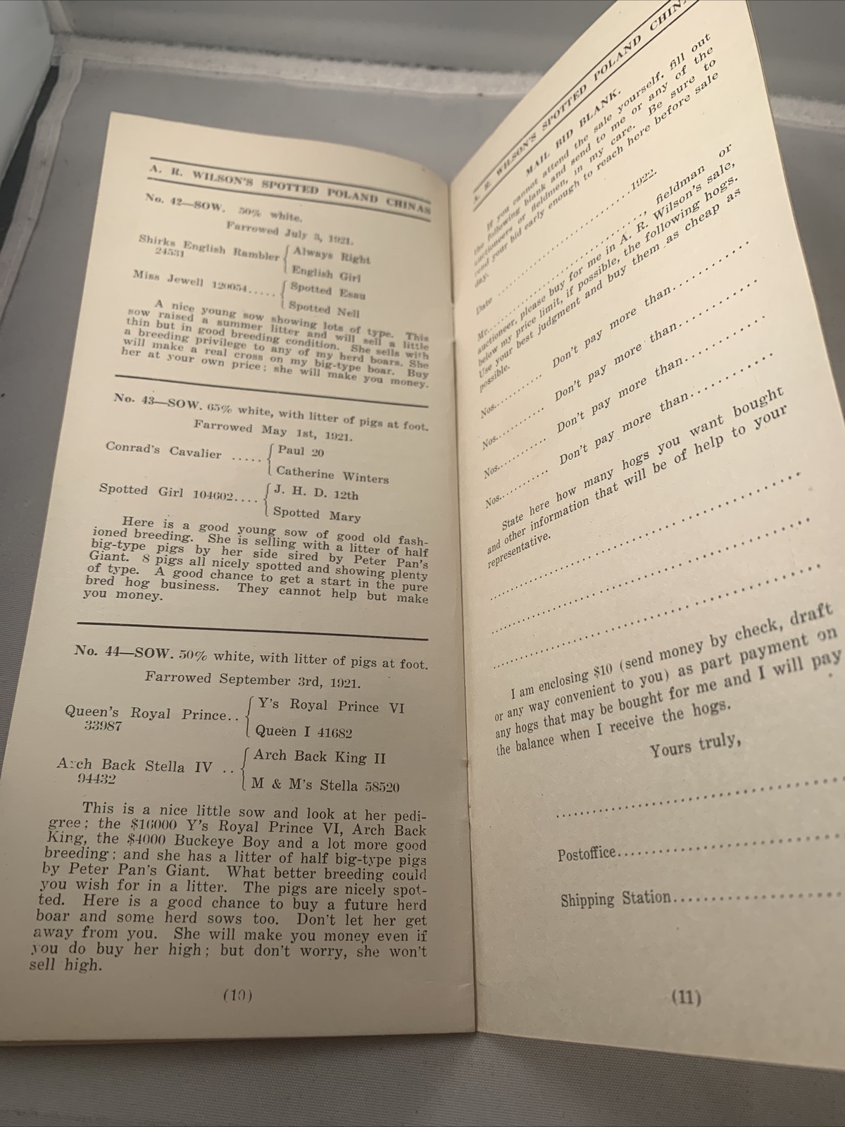 1922 Hog Sale Brochure Wilson’s Prolific Poland China Pig Farm Darlington MO