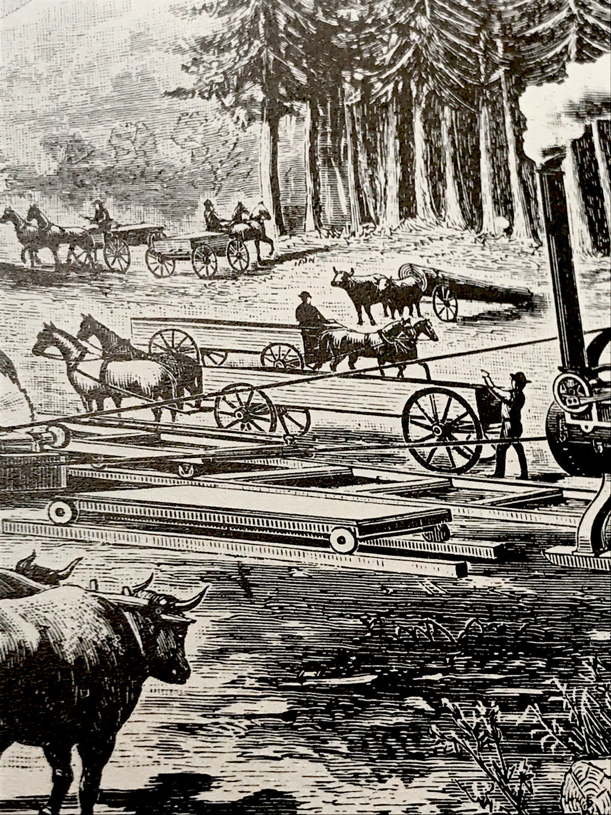 1882 J.I. Case Saw Mill & 1884 Portable Case Saw Mill Engraving Advertising