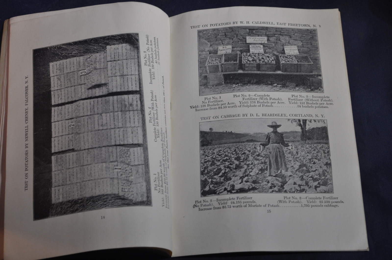 Ca 1920 German Kali Works Brochure on New York Fertilizer Results