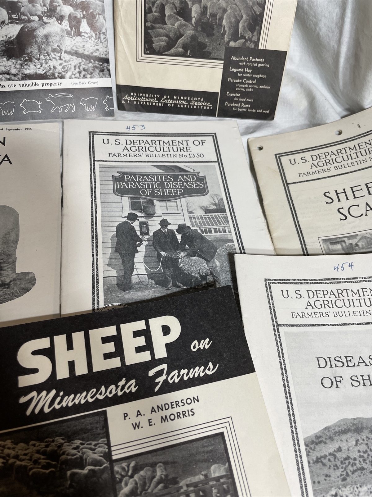 minnesota sheep farming bulletins