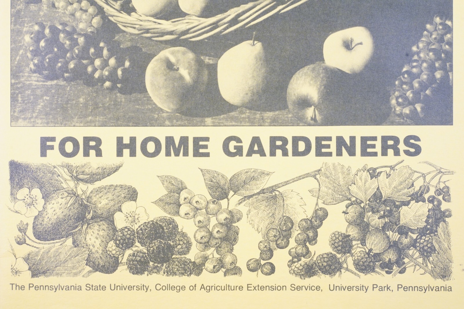 Vintage PA State Uni Fruit Production Guide Home Gardeners Agricultural Brochure