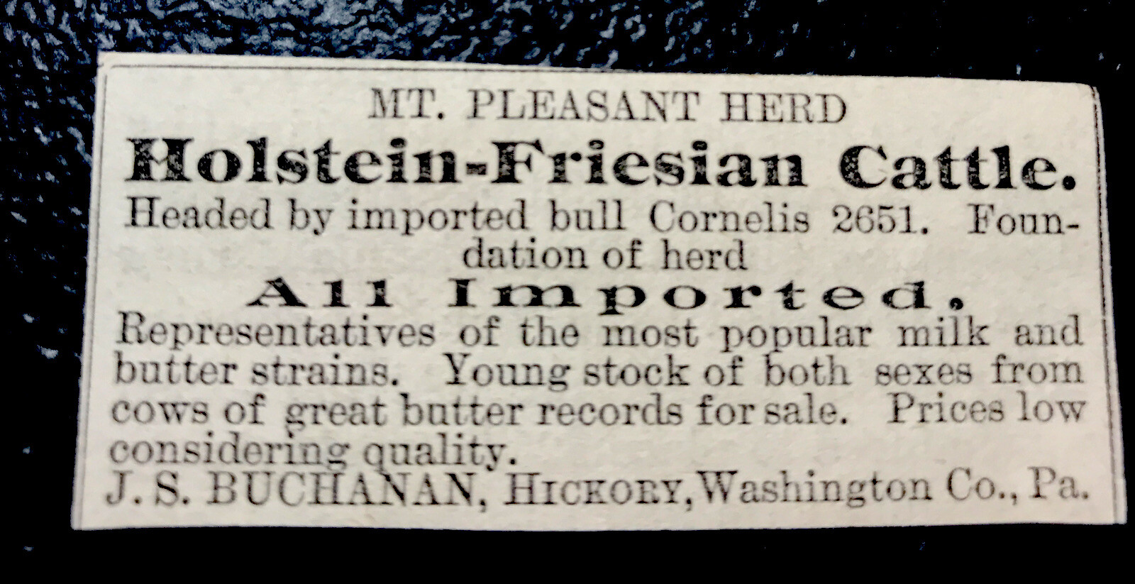 1886 Buchanan Cattle Cow Farm Advertising – Hickory – Pennsylvania