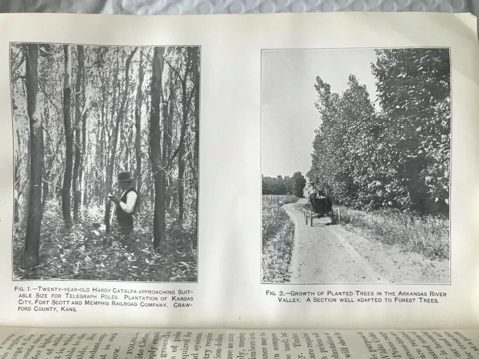 DEPARTMENT OF AGRICULTURE 1900 YEARBOOK WITH GRAPHS PHOTOS VINTAGE VERY RARE