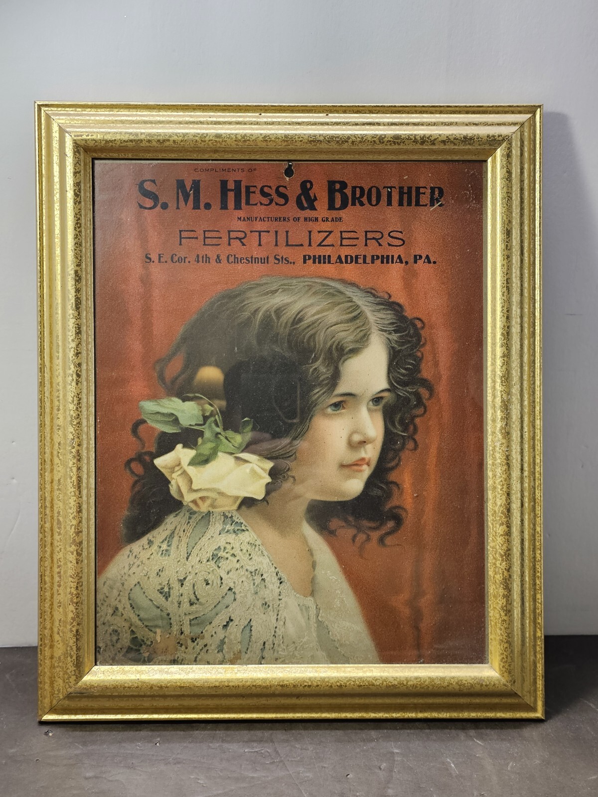 Rare Original S.M. HESS & BROTHER FERTILIZER PHILLA. PA Farm Advertising