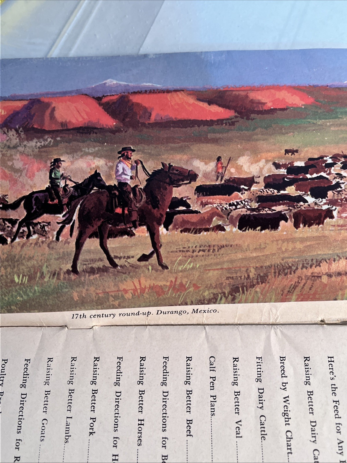 Vintage 1969 Albers Milling Co Raising Better Livestock Booklet, F-658-64