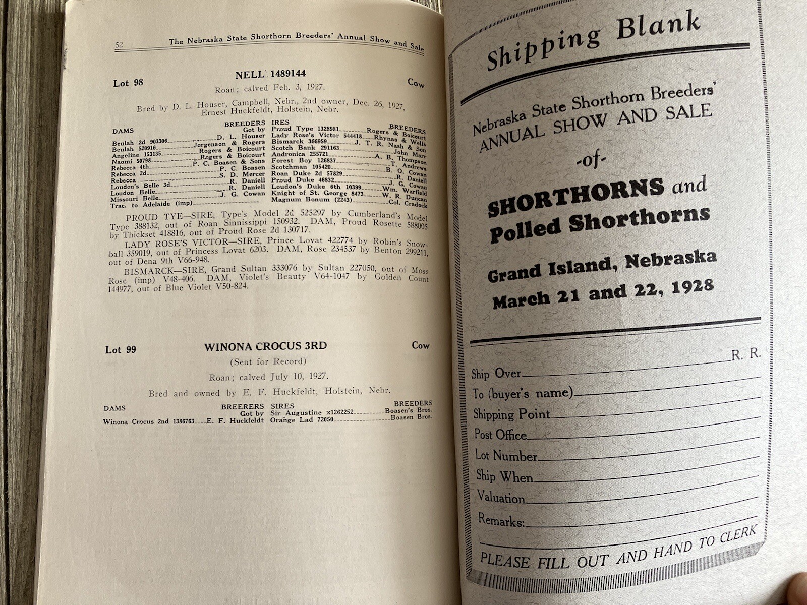 RARE Vintage 1928 Nebraska State Shorthorn Breeders’ Annual Show & Sale Cows