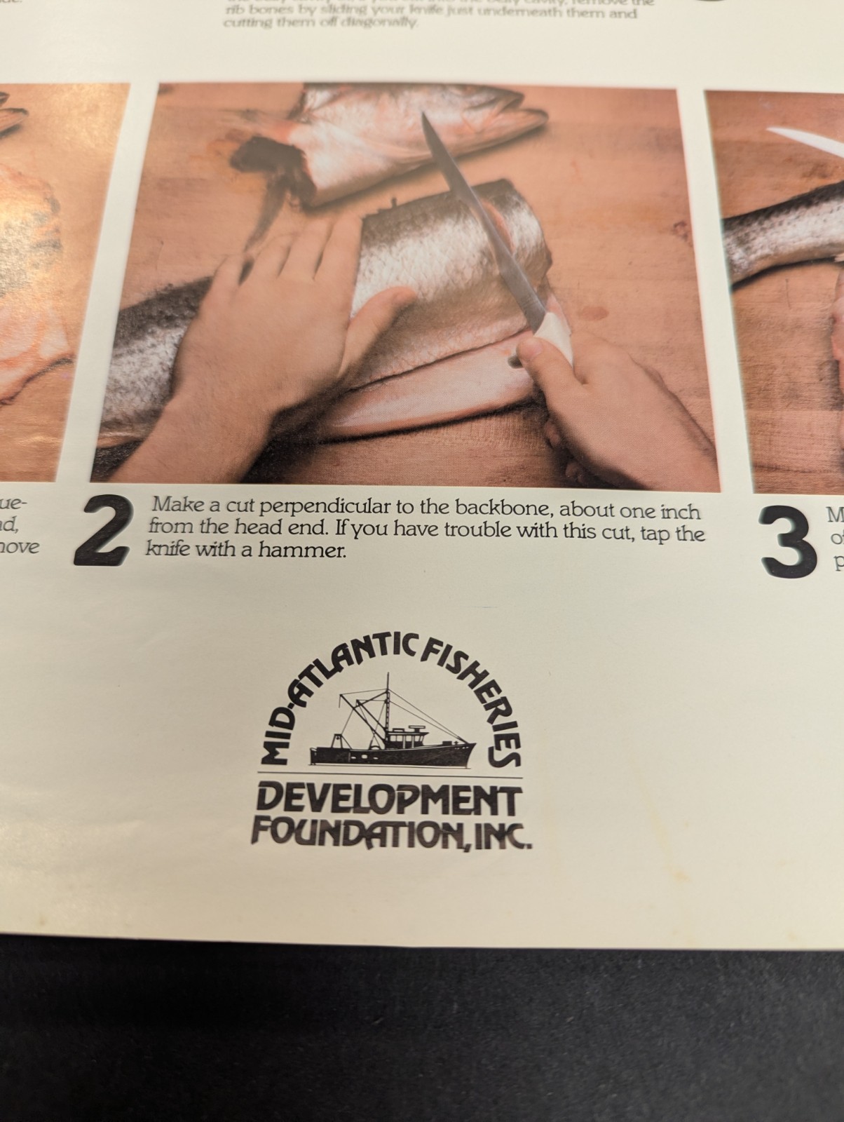 Mid-Atlantic Fisheries Development Foundation How to Dress a Fish Dinner Poster