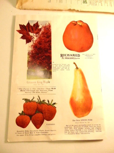 Vintage Fall 1954 – Spring 1955 Bountiful Ridge Nurseries plant catalog