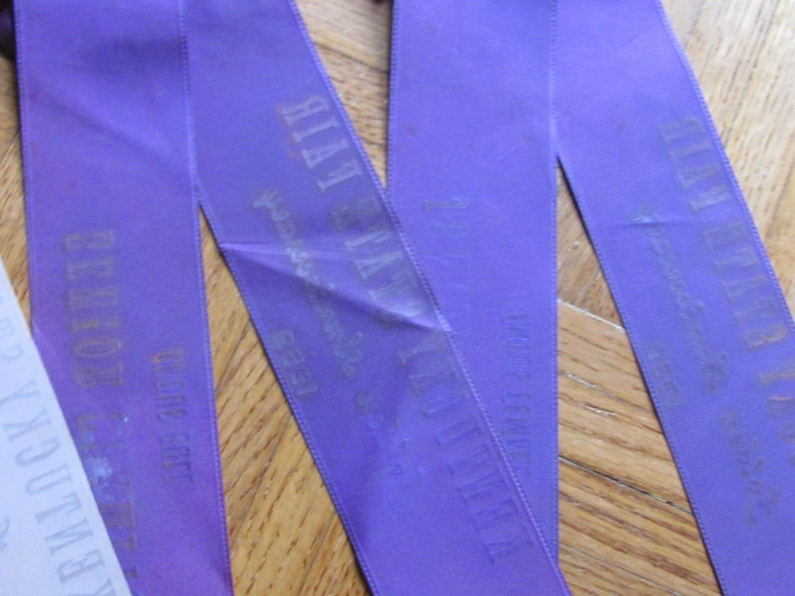 1953 FARM AWARD ANGUS BEEF CATTLE 3 ROSETTE RIBBON KENTUCKY STATE FAIR GOLDEN