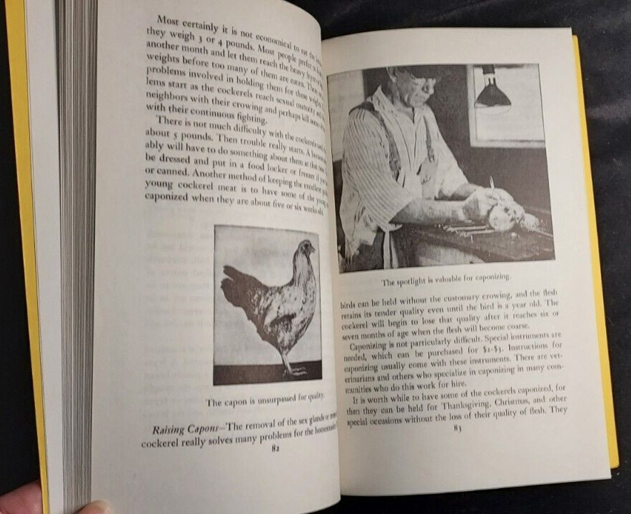 1974 Starting Right With Poultry GT Klein Sixth Printing Raising Chickens