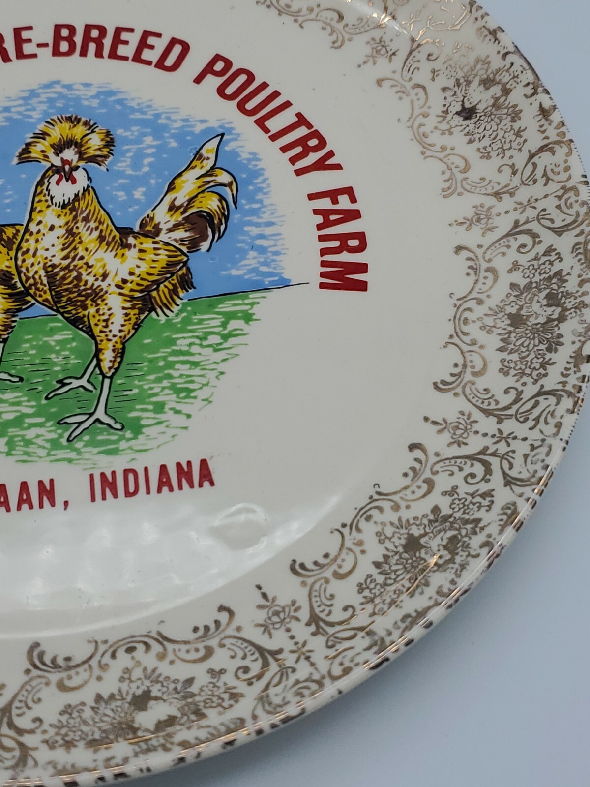 Vintage Gale H. Ferris Rare Breed Poultry Farm Canaan, Indiana Ornate Plate