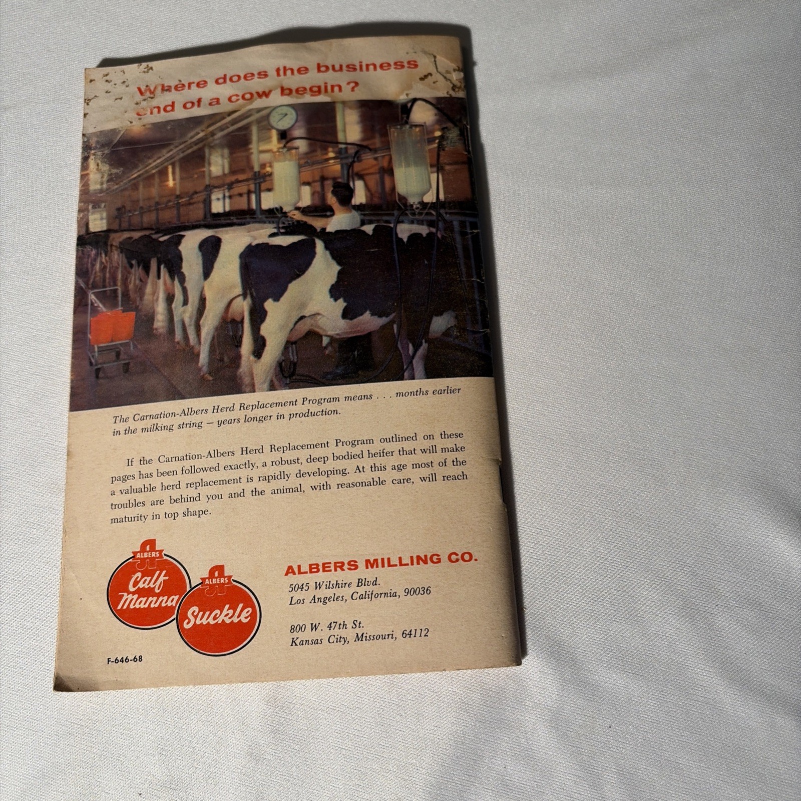 Carnation -Albert’s 1968 Calf Planning #154