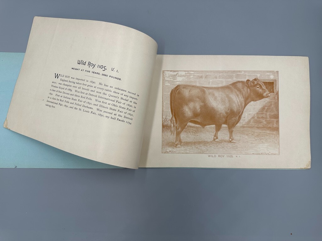 1892 RED POLLED CATTLE Farm Advertising Illustrated HERD BOOK Delaware Ohio