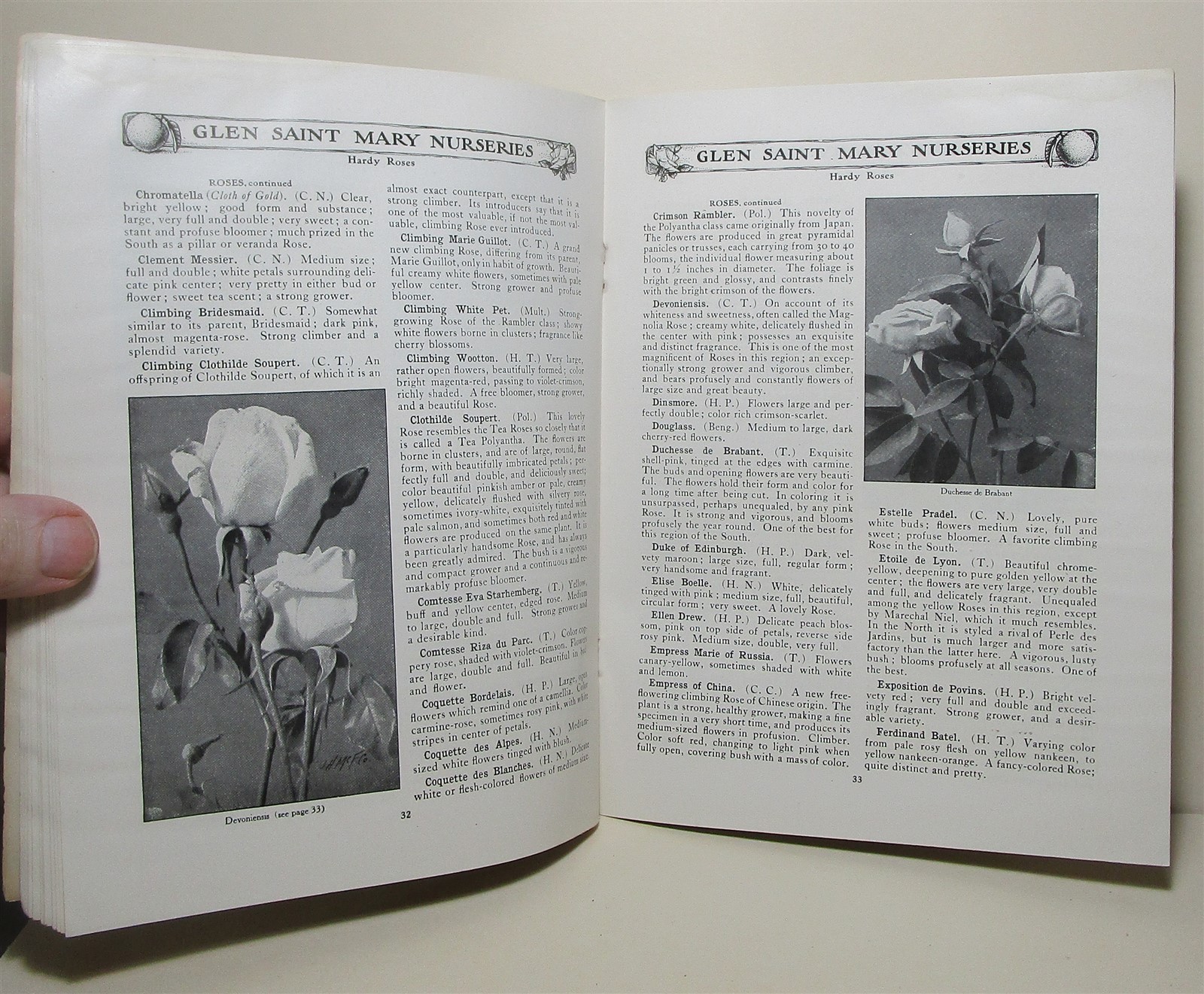 1907 Glen Saint Mary Nurseries catalog, Florida