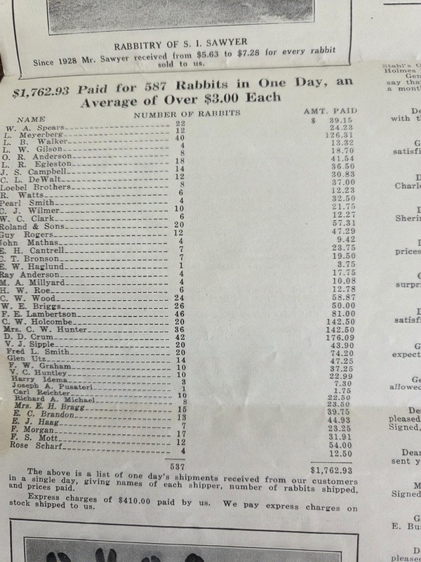1932 Rabbit and Fur Farming Magazine Vol 2 Number 6 Homestead Husbandry