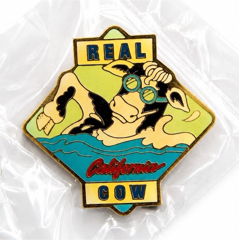 REAL California Gov Collectible Pinback Button Political Collectible Pin