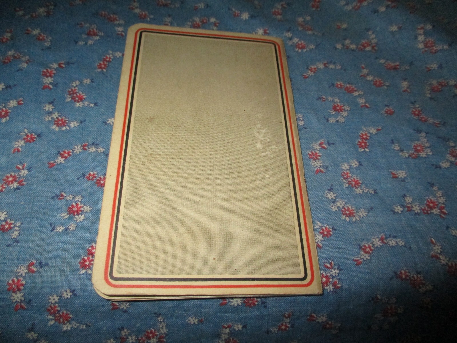 Crop Inventory Record and Memo Book American Agricultural Chemical Co 1927