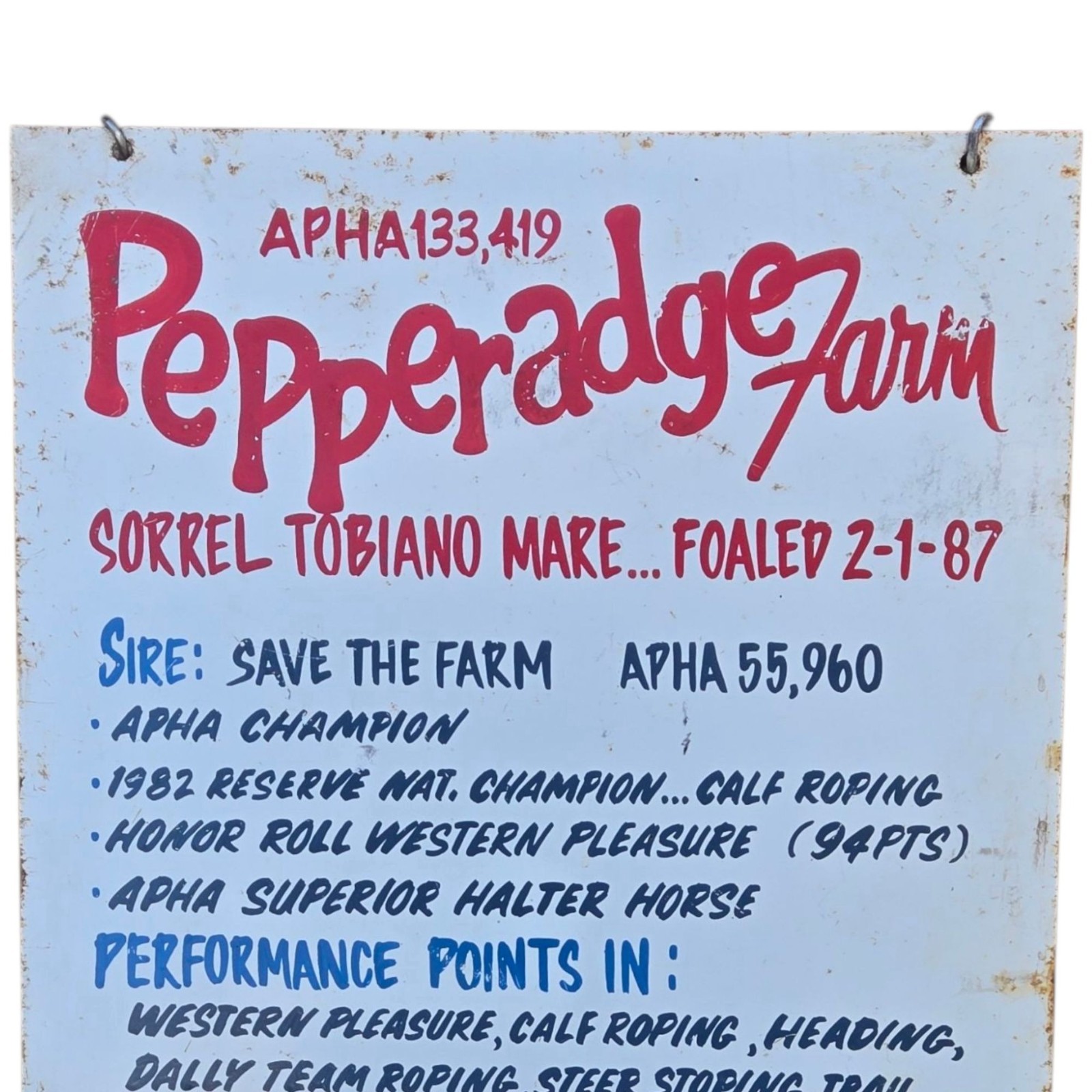 Vintage Paint Horse Farm Breeding Sign Metal 1987 APHA Champion Wichita Kansas