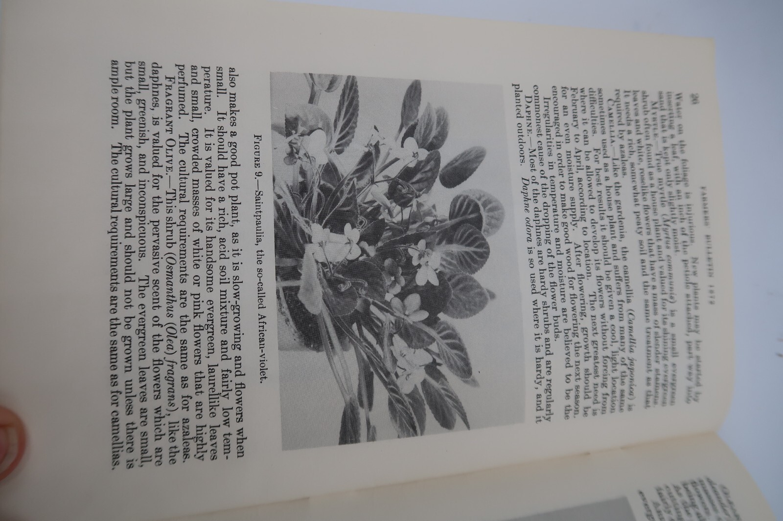 1941 USDA Farmers&rsquo; Bulletin No. 1872 House Plants Ephemera Furman Lloyd Mulford