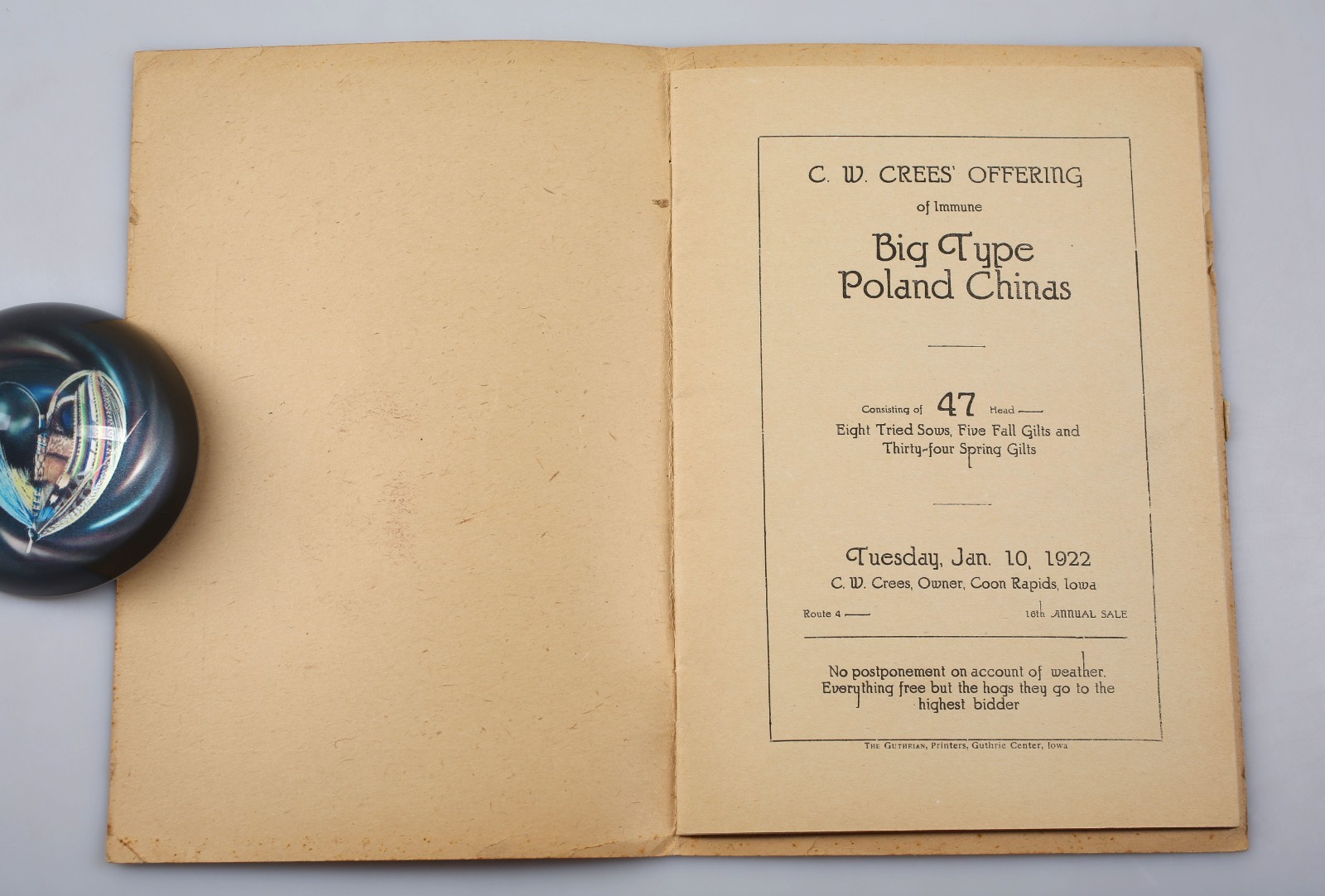 Vintage 1922 C.W. Crees Big Type Poland China Pig Sale Catalog Coon Rapids Iowa