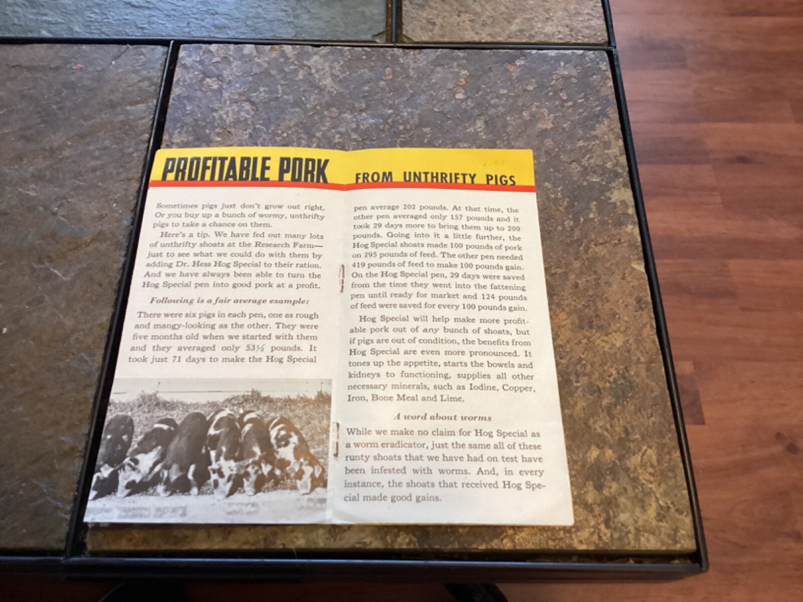 Dr. Hess & Clark, Ashland, Ohio « Profitable Pork » Booklet