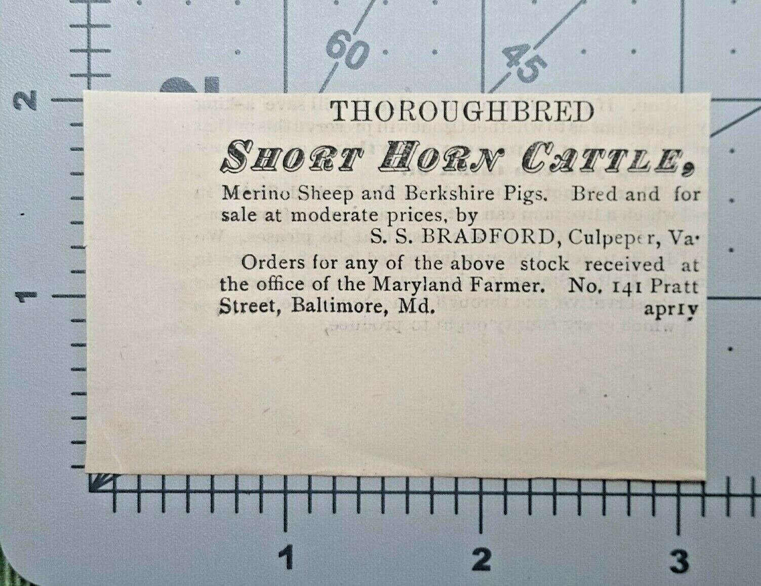1881 Culpepper Virginia Vintage Print Ad S.S. BRADFORD Cattle Farm Breeder