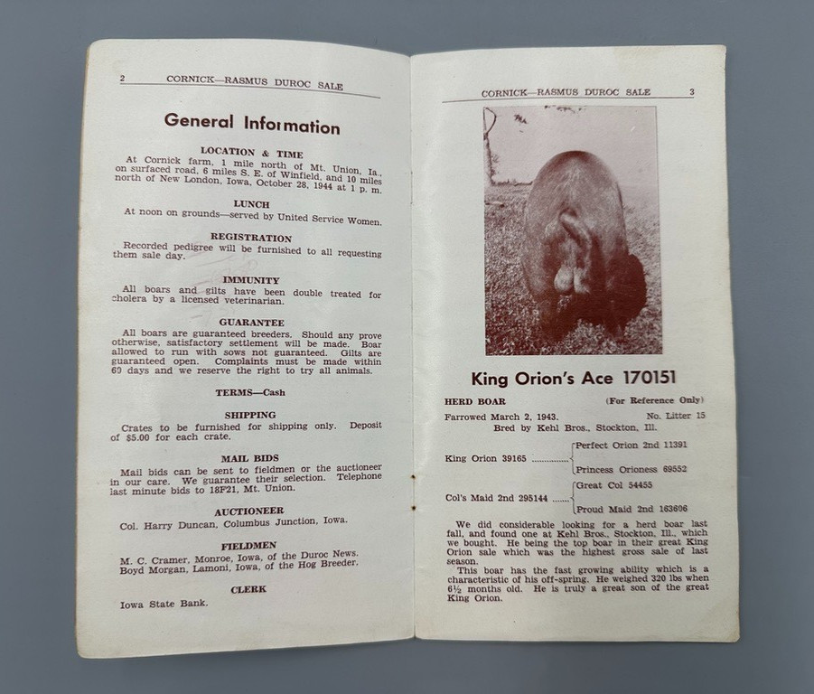 1944 DUROC BOAR Gilt PIG SWINE Sale AUCTION Brochure MT UNION IOWA Vintage Farm