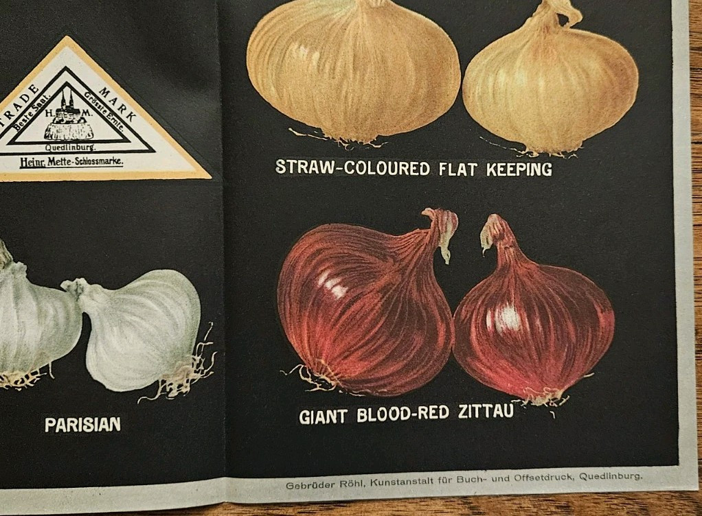 1900&rsquo;s to 1930&rsquo;s 27 Heirloom Onion Seed Grower Heinrich Mette Poster 27&Prime; x 20&Prime;