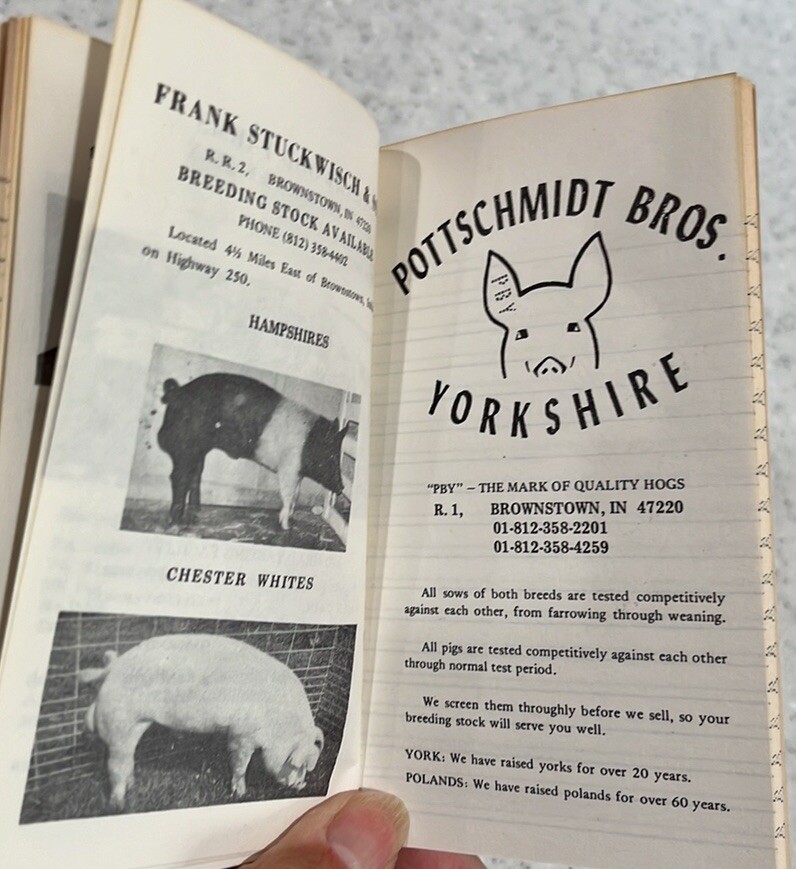 Vtg 70s Jackson County,IN~Purebred Swine Breeders Notebook~Pigs~Swine~MCM Farm