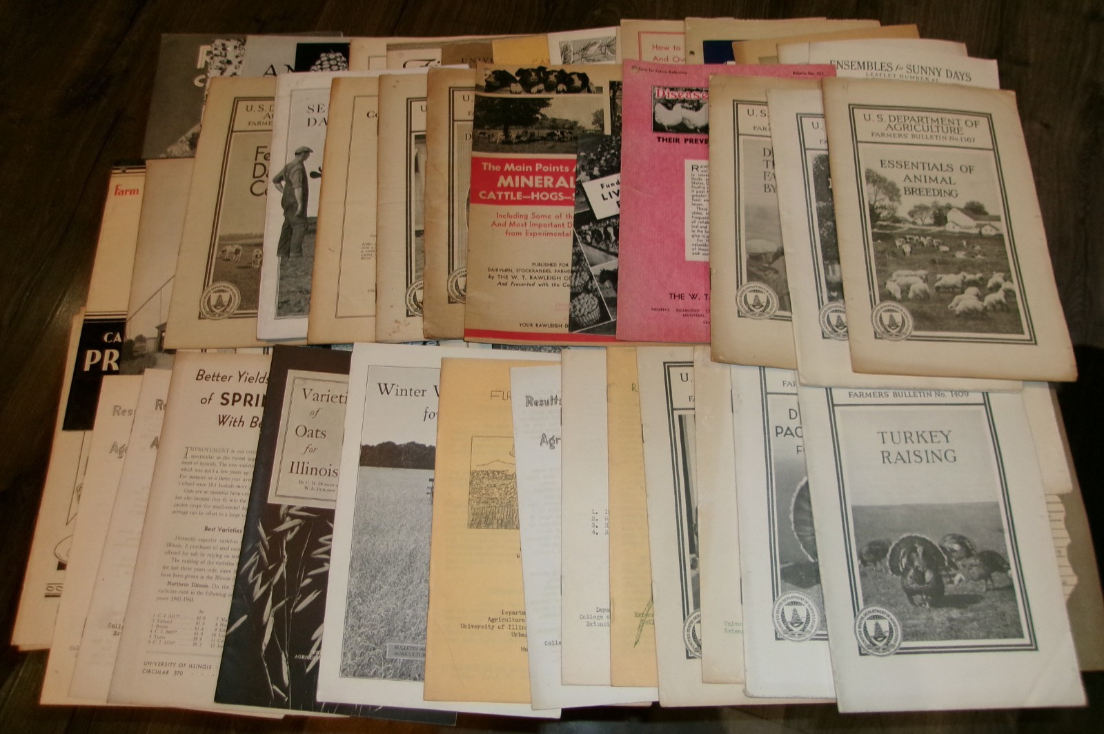 62-lot assorted vintage university of Illinois ag bulletins in good shape used