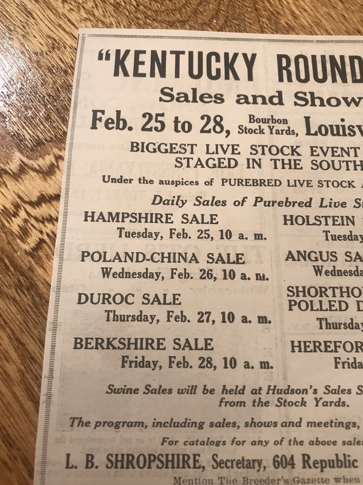 1919 Pig & Cattle Public Sale – Louisville – Kentucky – Cow Advertising