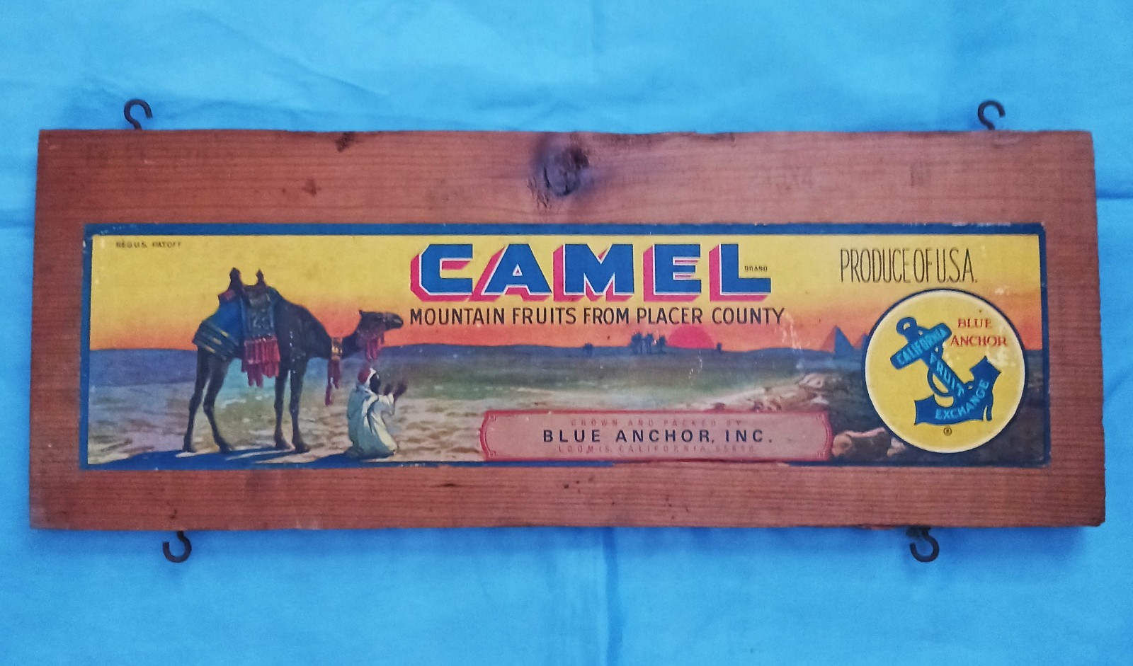 Vintage CAMEL Mountain Fruits Placer County Wood Crate Piece Blue Anchor