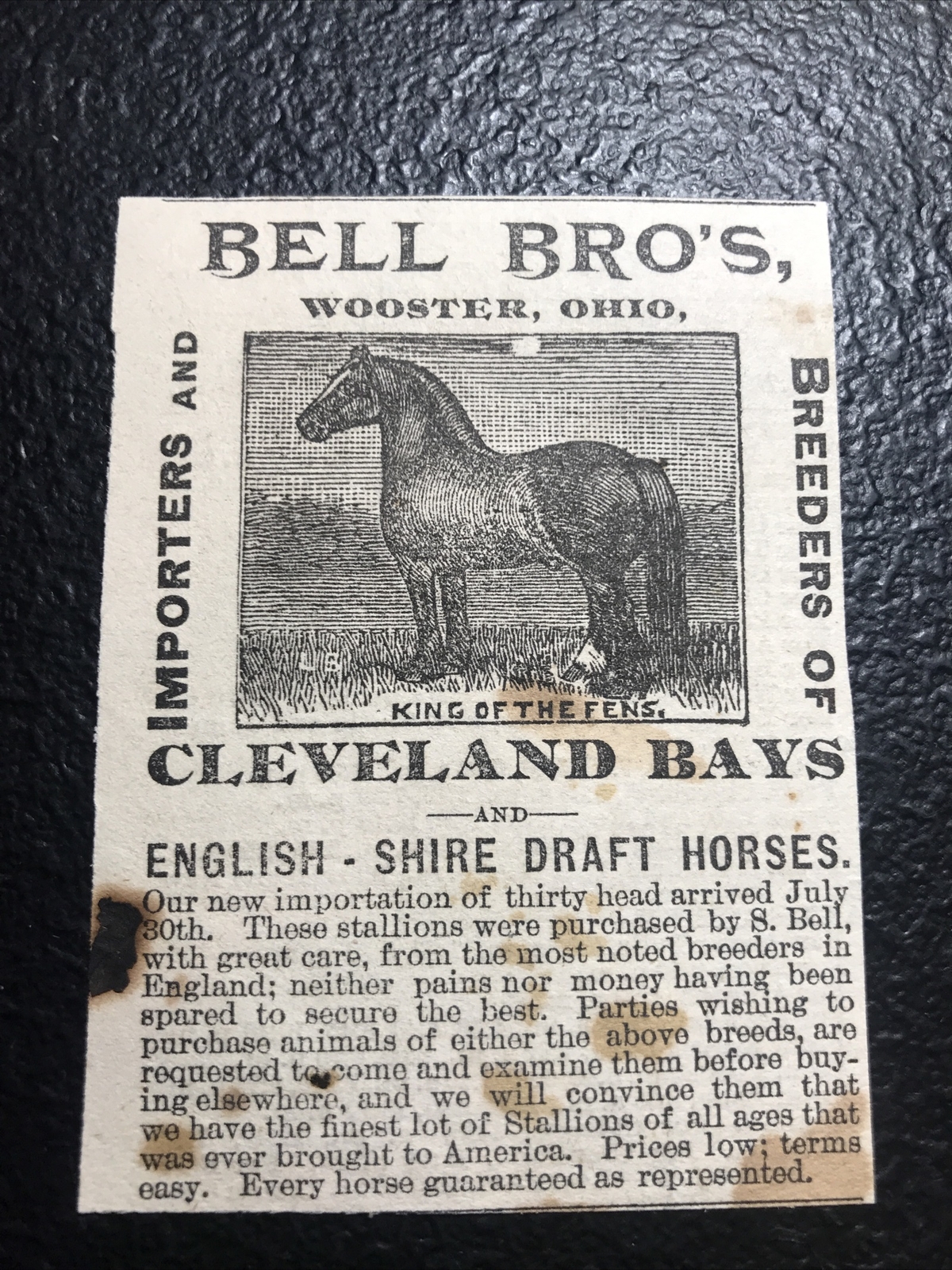 1886 Bell Brothers Horse Farm Advertising – Wooster – Ohio