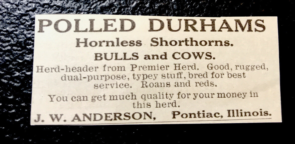 ORIGINAL 1917 Anderson – Farm Cattle Advertising – Cow – Pontiac – Illinois