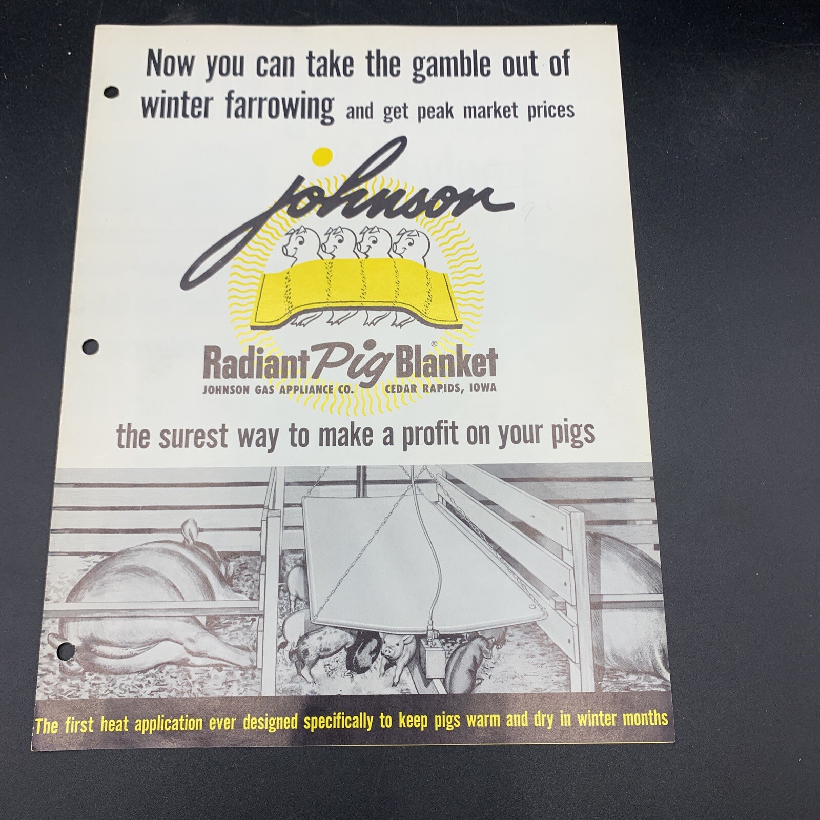 Pair 1961 Johnson Gas Appliance Brochure Pig Blanket & Water Warmer-Cedar Rapids