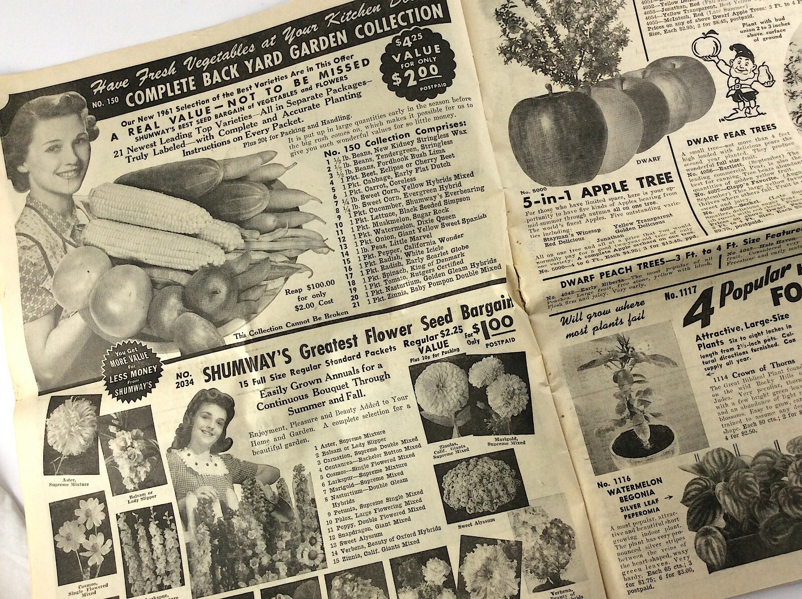 RH Shumway Seedsman Rockford Illinois 1961 Plant Garden Seed Catalog Q381