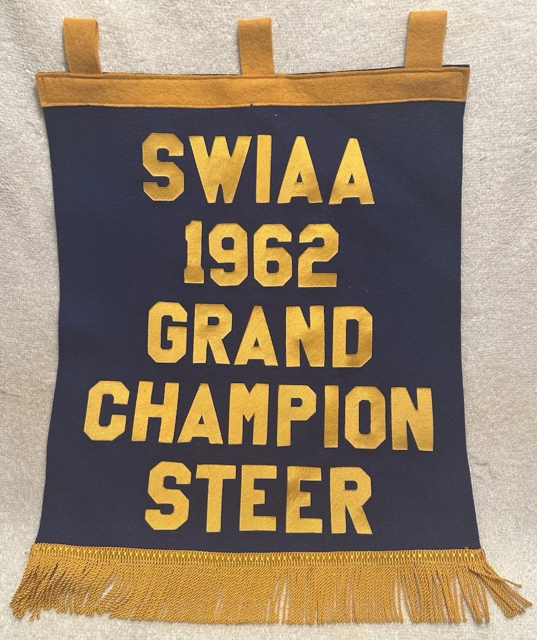 Vtg Banner Southwestern Indiana Angus Association 1962 Champion Steer 14X23 OOAK