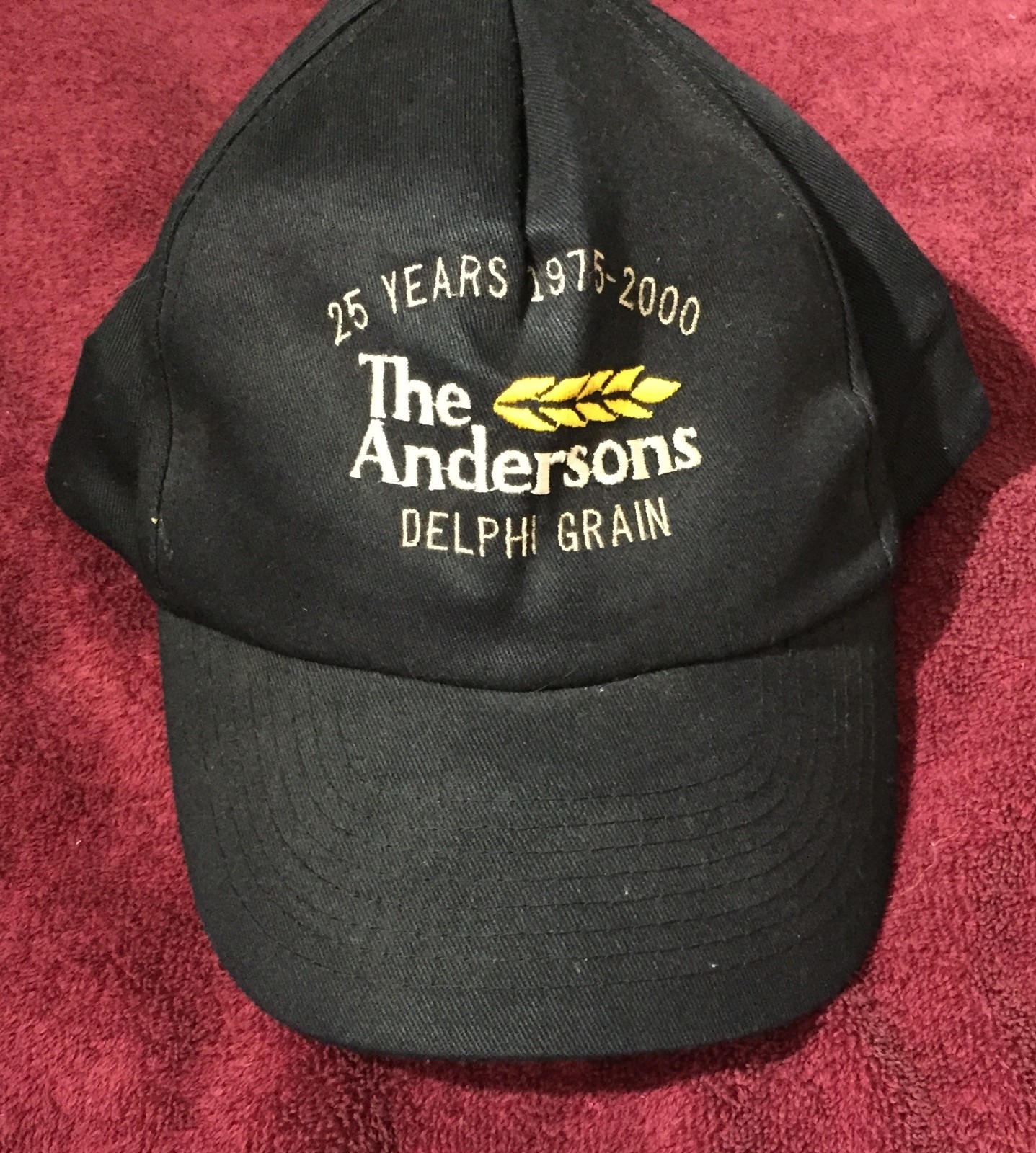 The Andersons Delphi Grain Baseball Hat ~ 1975-2000 Corn Grain Farming Elevators