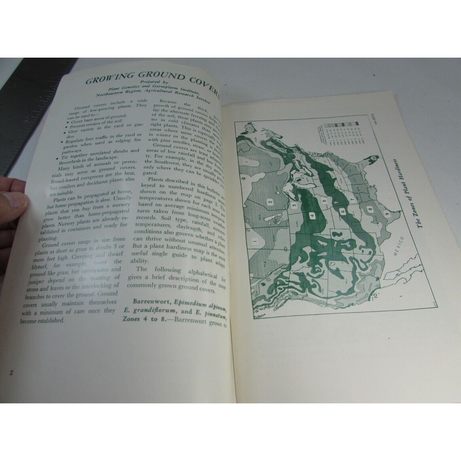 1975 Growing Ground Covers US Department Of Agriculture Booklet Vintage 34013