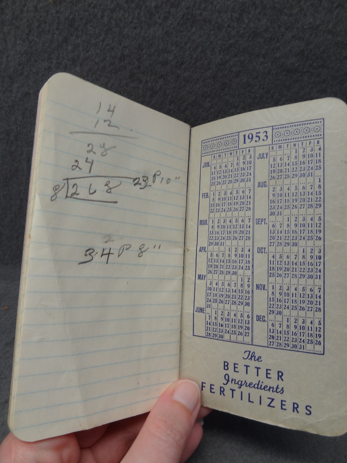 The 1953 Robertson Crop & Memo Book Mini Pamphlet Chemical Corp VA NC Notes
