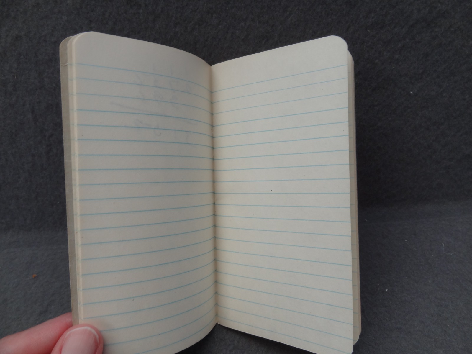 The 1953 Robertson Crop & Memo Book Mini Pamphlet Chemical Corp VA NC Notes