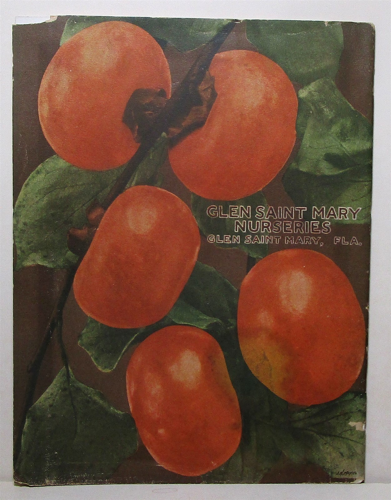 1910 Glen Saint Mary Nurseries catalog, Florida