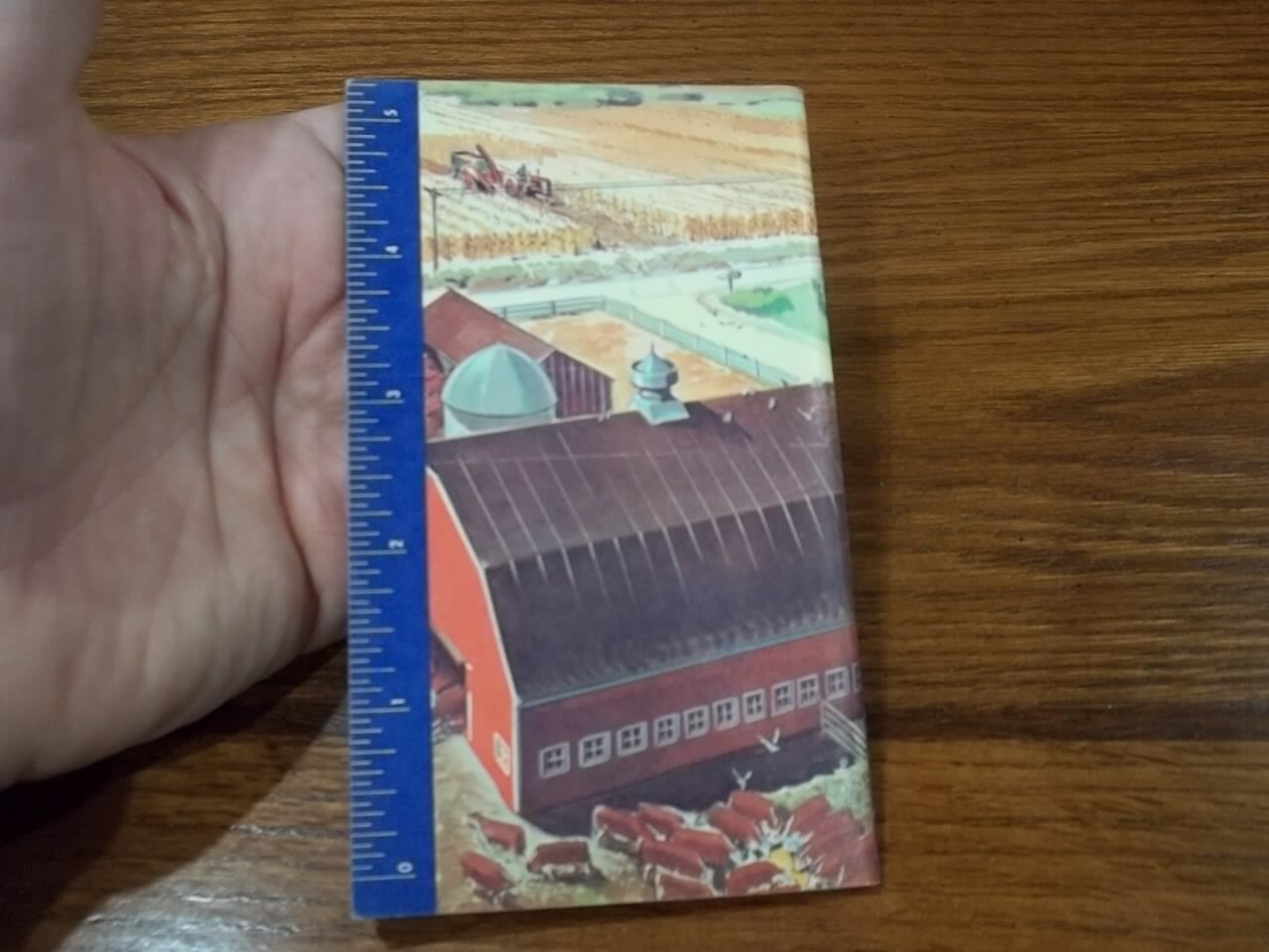 1955 Swift&rsquo;s Red Steer Memo Book & Growth Meter Agriculture Farm Animals