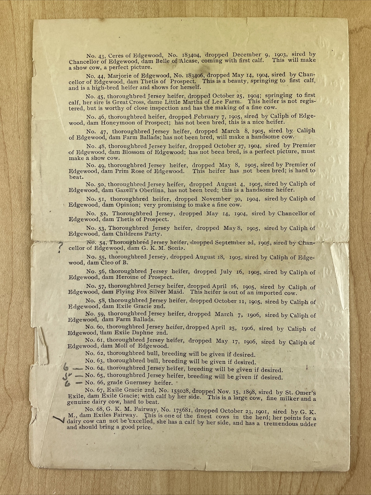 1906 PUBLIC SALE 8.5×6 Brochure Jersey & Guernsey Cattle Auction EDGEWOOD FARM