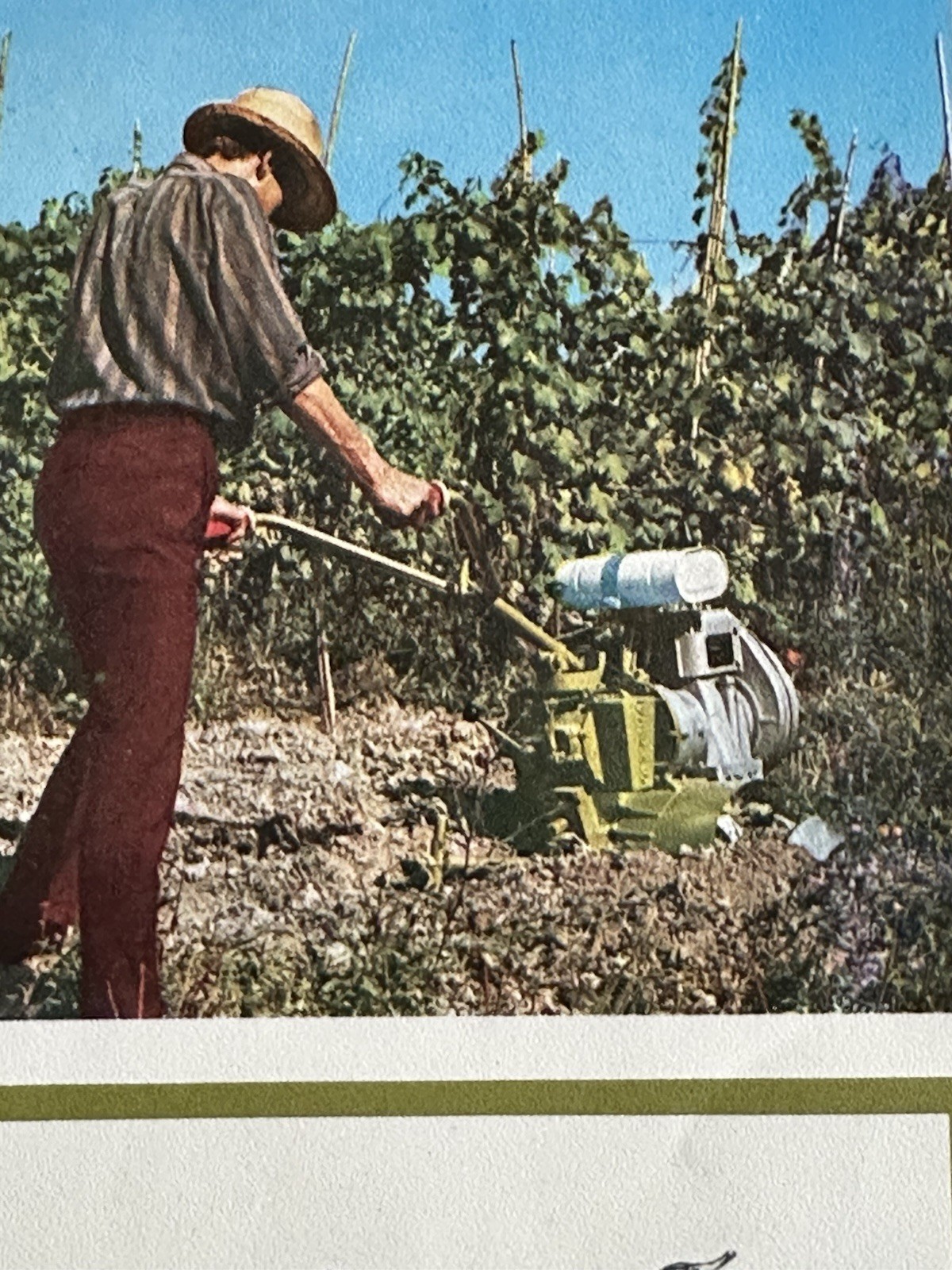 Vintage Casorzo Vigneto Motoaratrice Brochure Vineyard Tractor Catalog